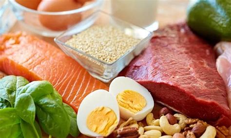 Proteinlerin Vücut Fonksiyonlarına Etkisi: Hangi Protein Ne İşe Yarar?